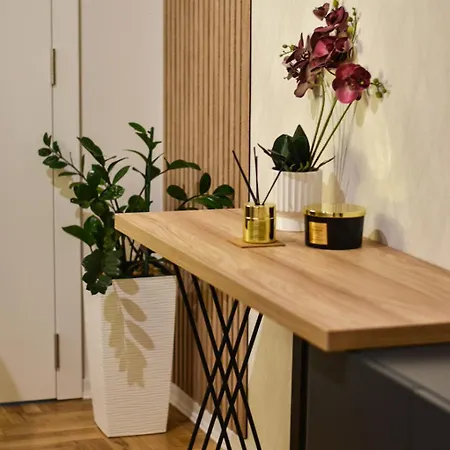 Apartman Vasilisa Novi Sad Exterior foto