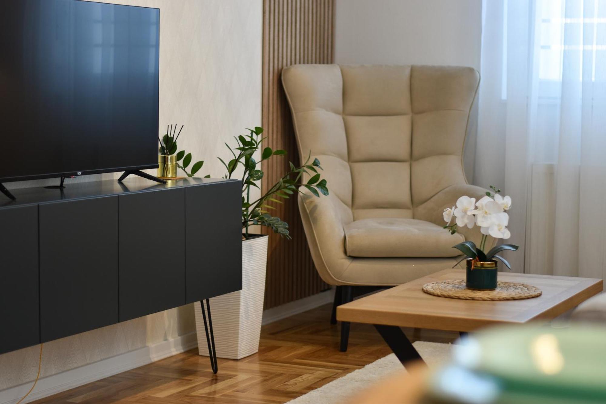 Apartment Vasilisa Novi Sad